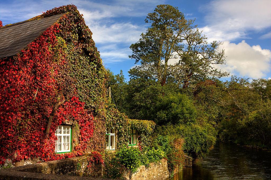 Cong Riverview House Villa Buitenkant foto
